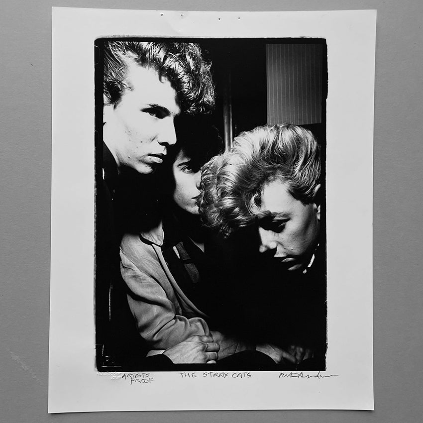 STRAY CATS