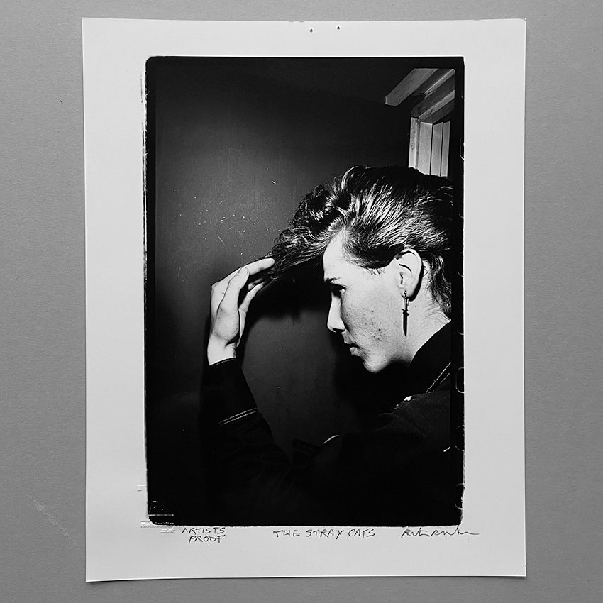 THE STRAYCATS