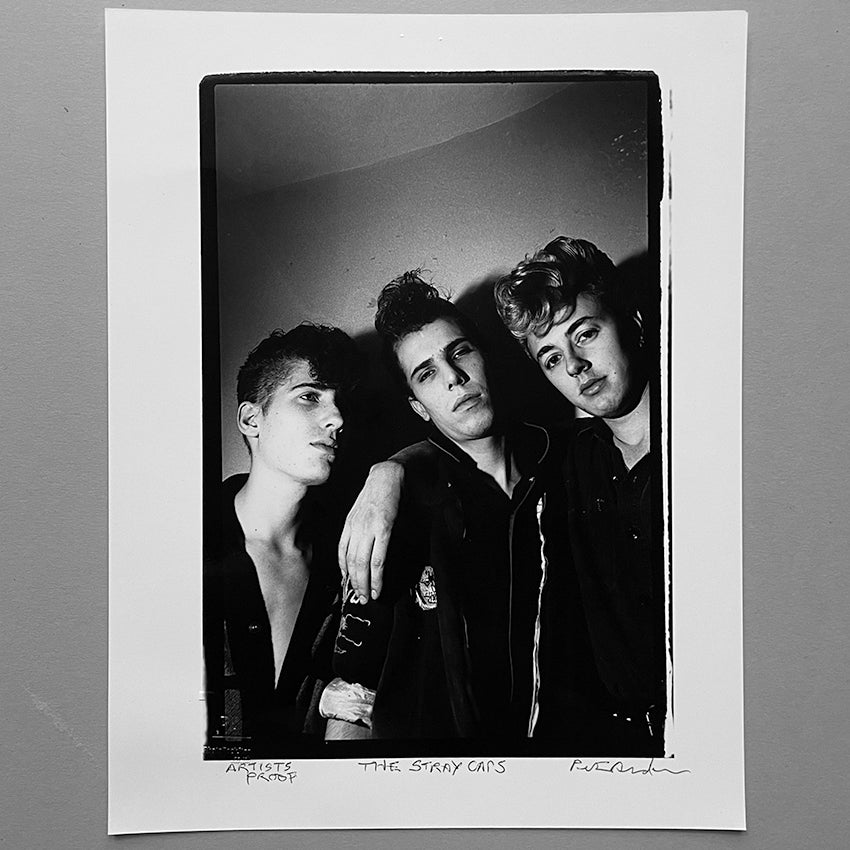 THE STRAYCATS