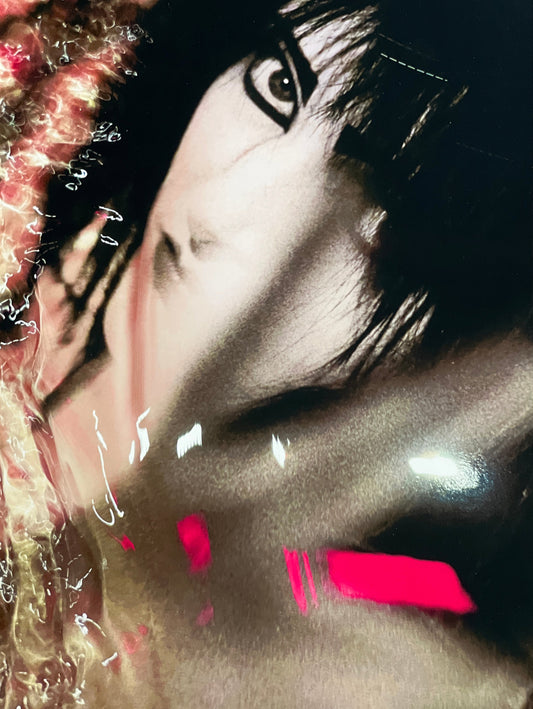Siouxsie Sioux / Digital Print